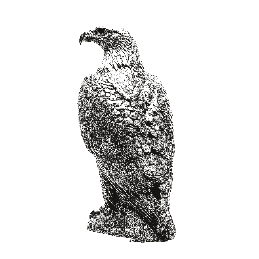 Dithered engraving of a bronze eagle